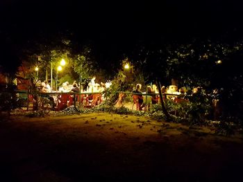 Illuminated street lights in park at night