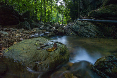 Stream flowing through rocks in forest