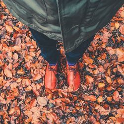 Low section of man standing on dry autumn leaves at park