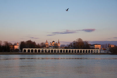 Birds flying over water