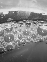 Close-up of bubbles in water