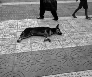 Low section of woman standing on tiled floor