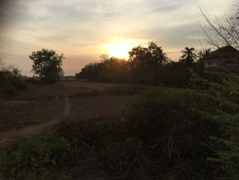 Scenic view of field against sky during sunset