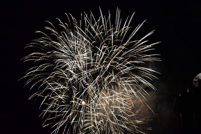 Low angle view of firework display