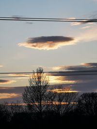 Silhouette plants against sky during sunset