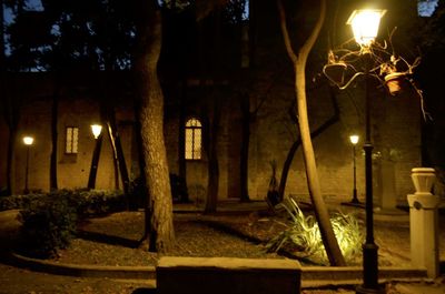 Illuminated street light by building at night