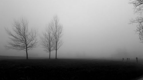 Bare tree on landscape against sky