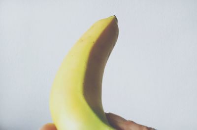 Close-up of cropped white background