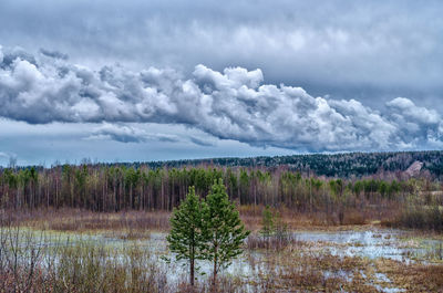 Scenic view of landscape against sky