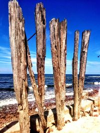 Wooden posts in sea