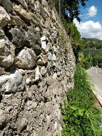 View of rocks and plants against wall