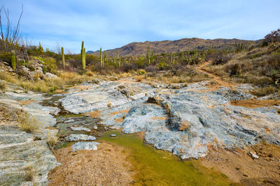 Water in a wash below lime falls in saguaro national park, tucson arizona.