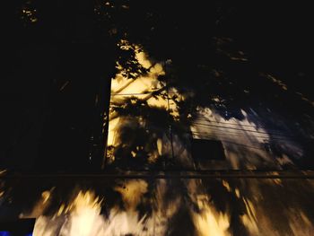 Low angle view of trees against building