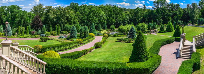 Public park near the honka house in the mezhyhirya residence, kyiv, ukraine, on a sunny summer day