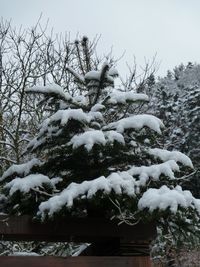 Low angle view of bare tree against sky during winter