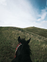 Horse on field against sky