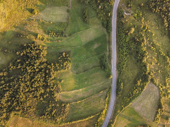 Aerial view of agricultural field