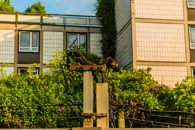 Low angle view of tree by building against sky