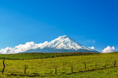 Scenic view of snowcapped mountain by green field against blue sky