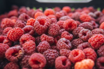 Close-up of raspberries