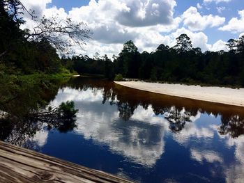 Reflection of trees in water