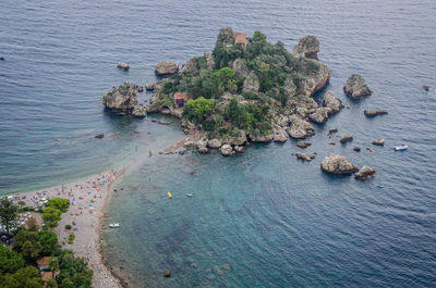 High angle view of plants on beach