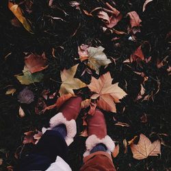 Low section of woman standing in forest during autumn