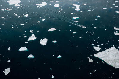 Ice on sea