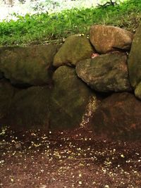 Close-up of rocks in water