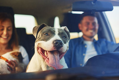 Smiling couple with dog in car