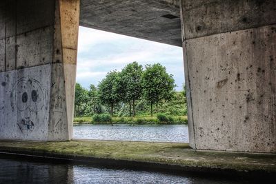 Trees by river against sky