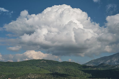 Scenic view of the mountains with pine trees and white fluffy clouds