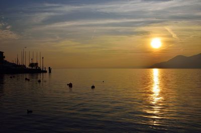 Silhouette ducks swimming in sea against sky during sunset