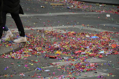 Low section of person standing by flowers on street