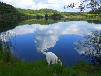 Scenic view of lake