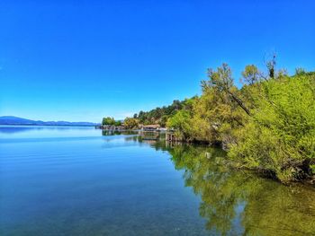 Blue lake stillness against mountains and lakeshore trees.