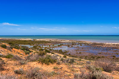 Scenic view of sea against blue sky