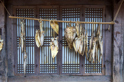 Close-up of fish drying on bamboo