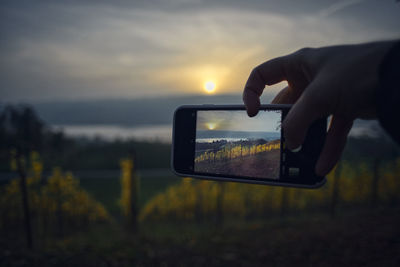 Person photographing through smart phone against sky during sunset