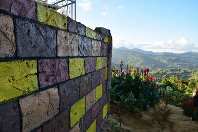 Scenic view of wall by building against sky