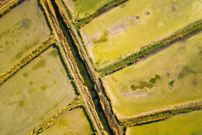 Aerial view of irrigation system