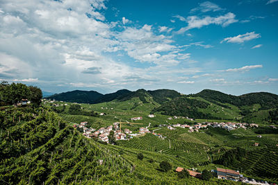 Scenic view of agricultural field against sky