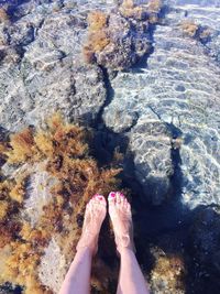 Low section of woman legs at shore