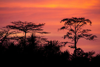 Silhouette tree against dramatic sky during sunset