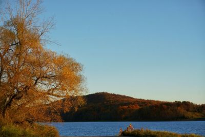 Scenic view of lake against clear blue sky