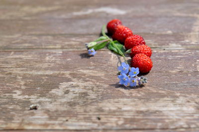 Close-up of red berries and flowers on wood