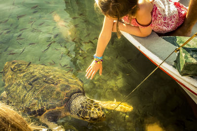 High angle view of girl reaching tortoise in lake