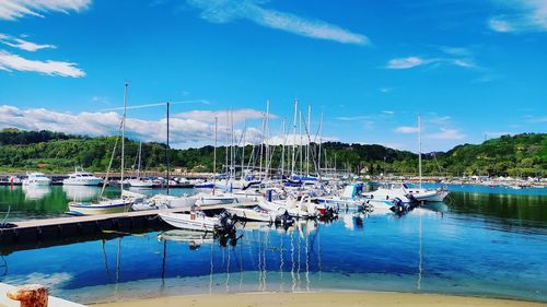 Sailboats moored at harbor