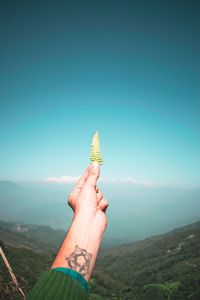 Cropped hand of young man holding fern against sky