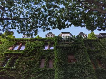 Building with trees in background